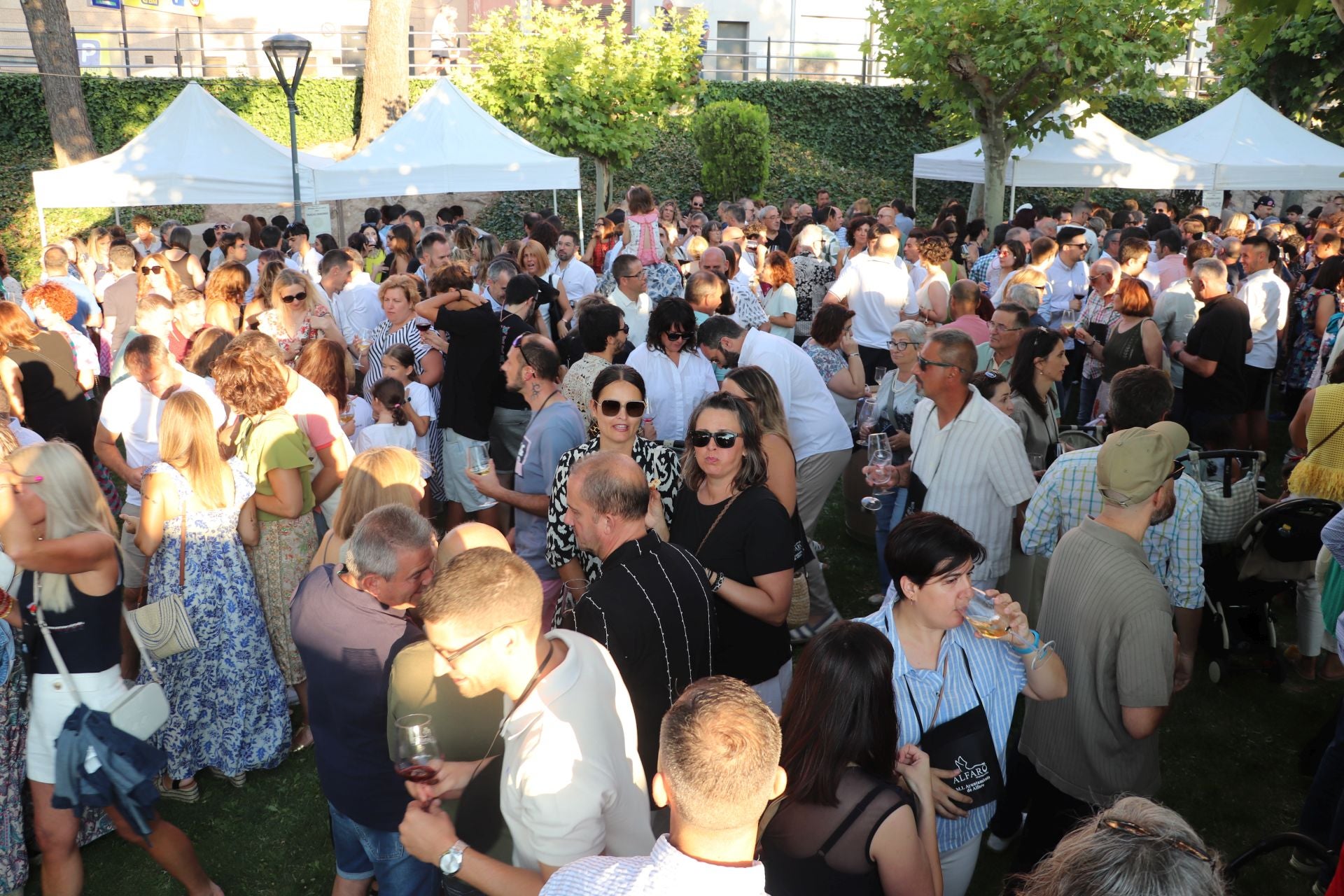 Décimo cuarta edición del Bodegas en la Calle en Alfaro