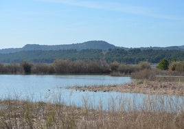 Humedal de La Degollada, en Calahorra.