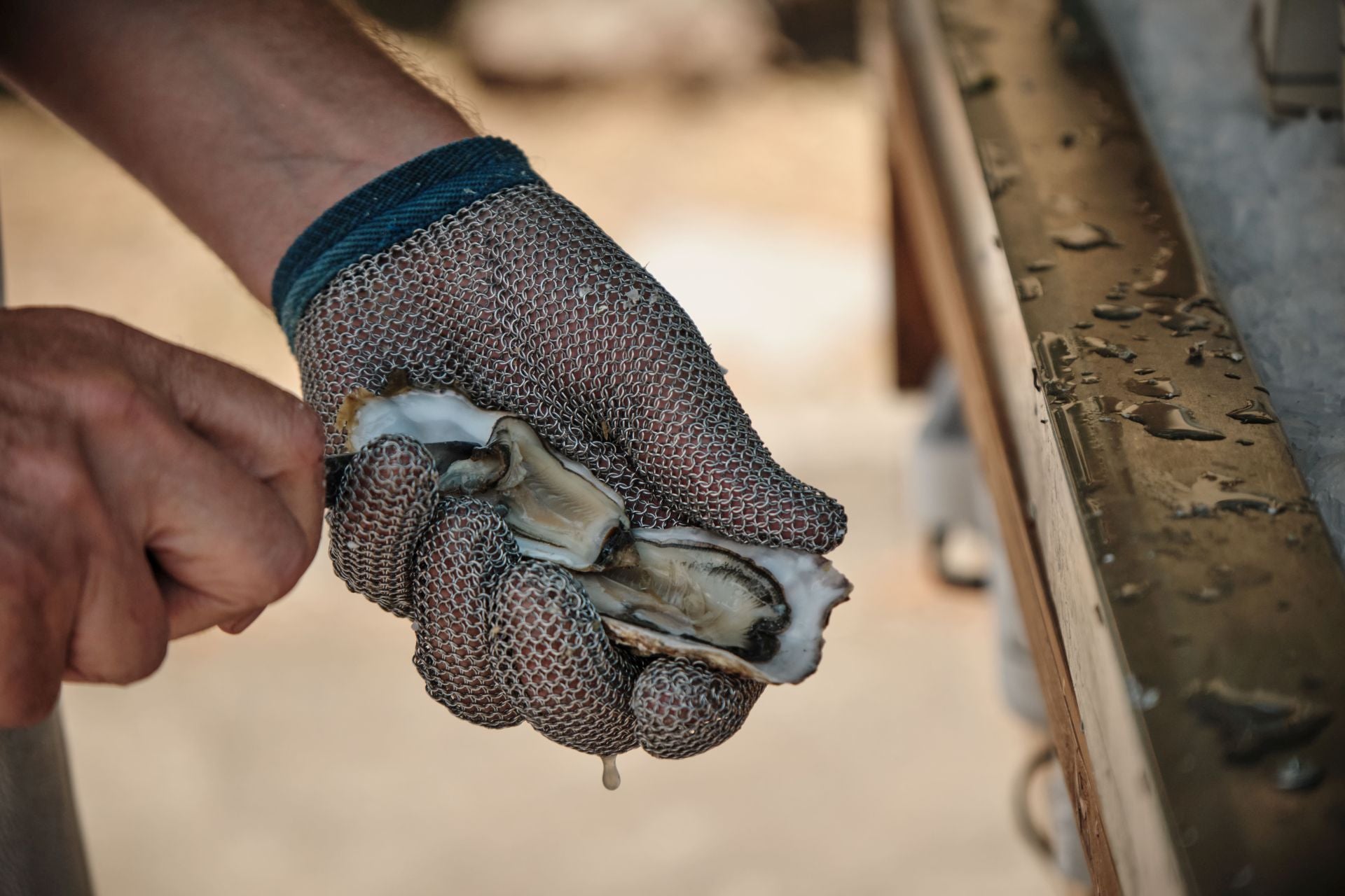Sábado valenciano en el Festival Gastrómico Mama