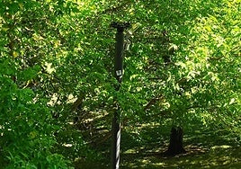 Más actividades para jóvenes y quejas por el ruido de los coches: el Teléfono del Lector de hoy