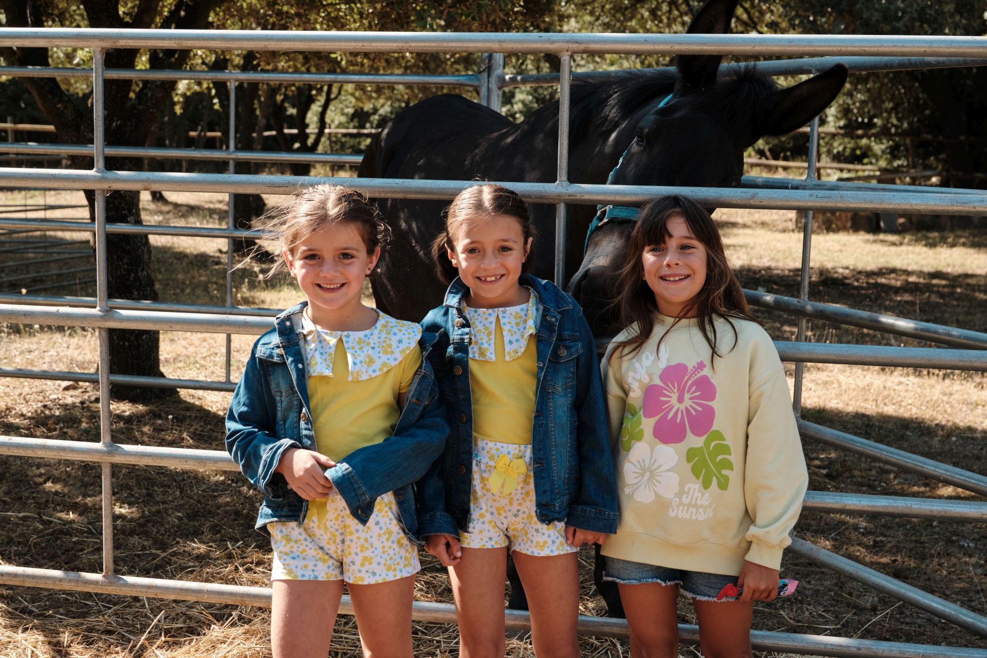 Ocón celebra su tradicional fiesta de la Molienda