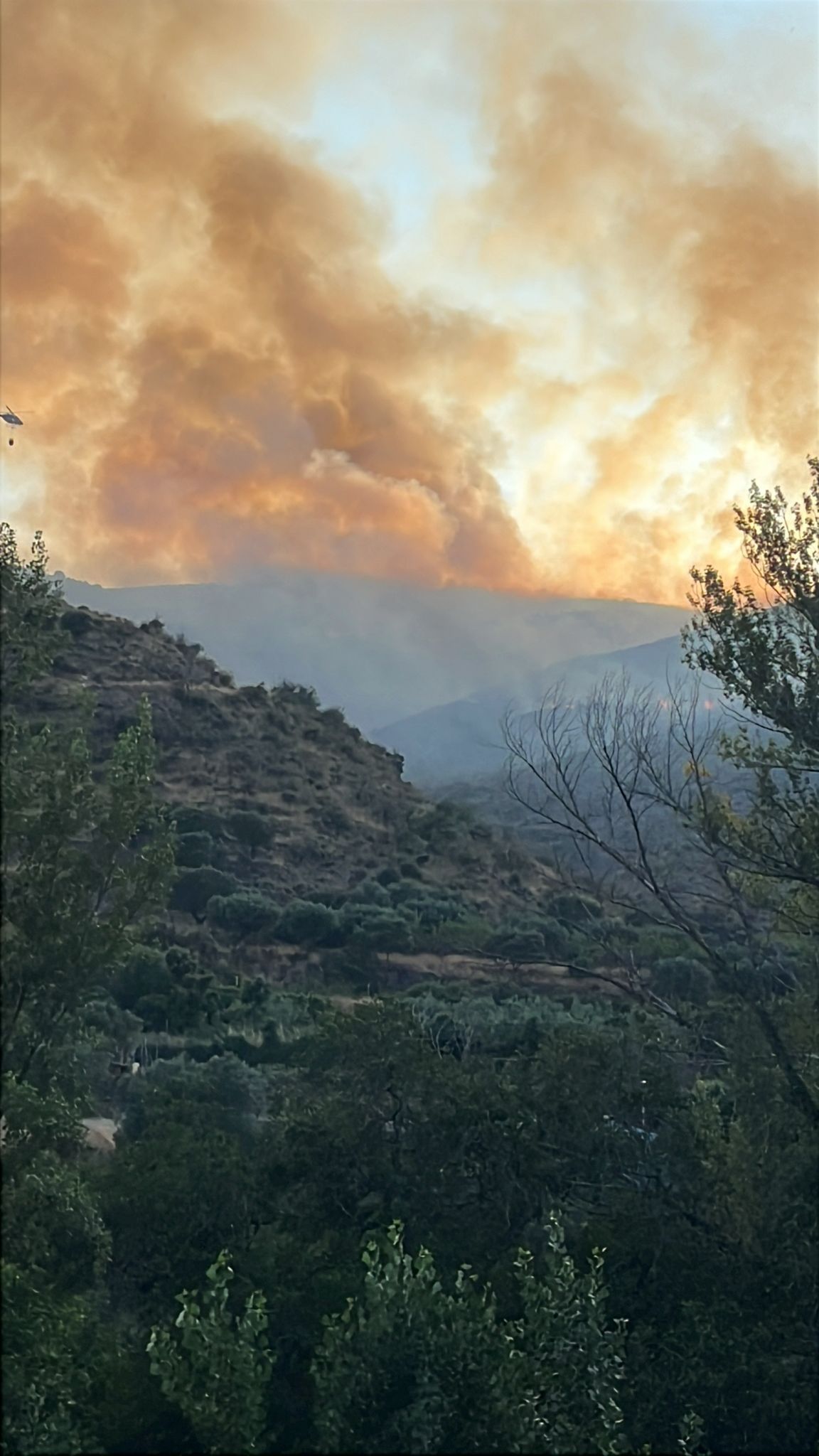 Las imágenes del incendio de Cornago