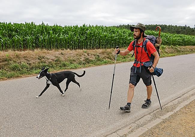 El peregrino burgalés Adrián camina por la Ruta Jacobea junto a su perra Laika.