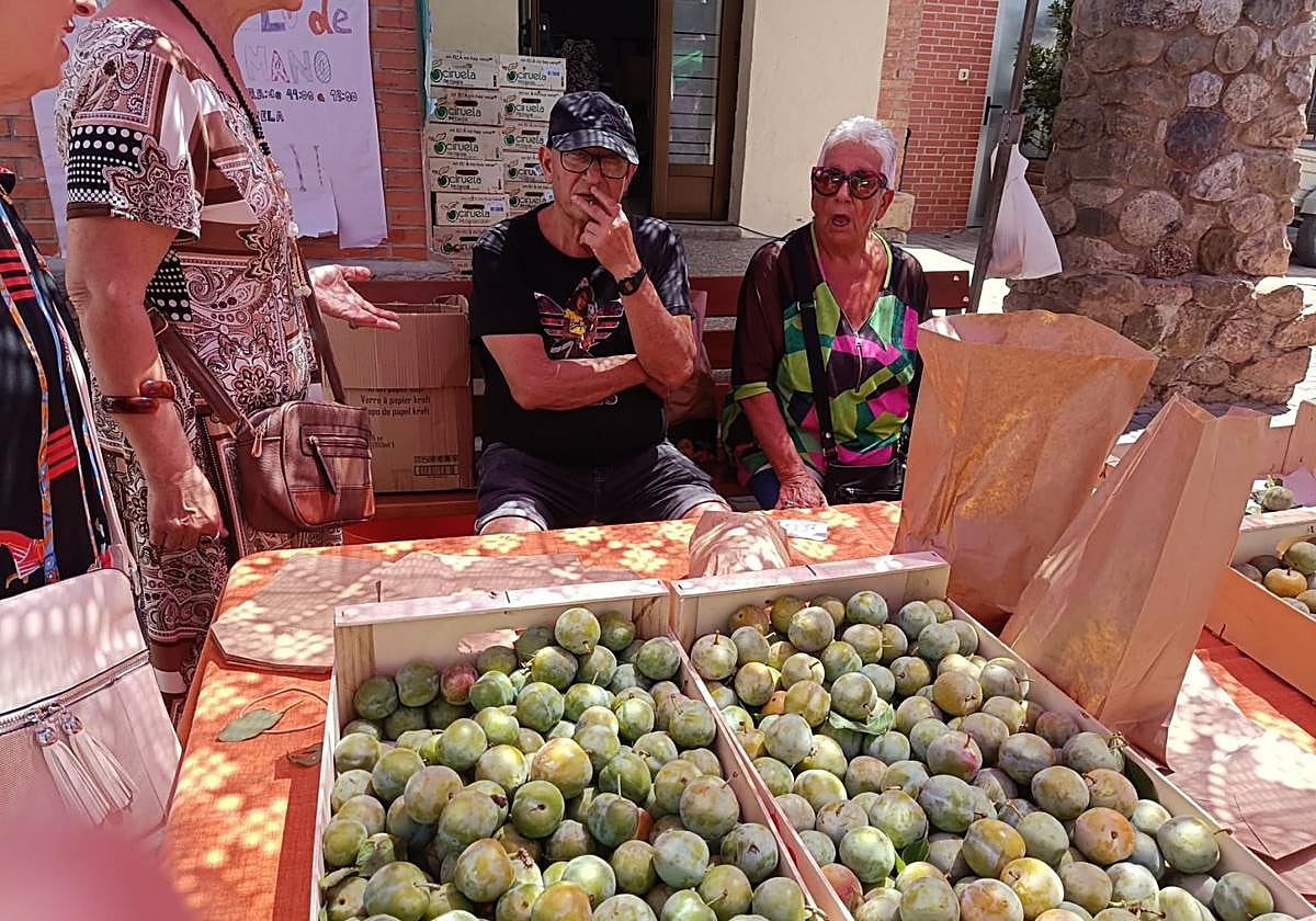 Noticias breves de los pueblos de La Rioja