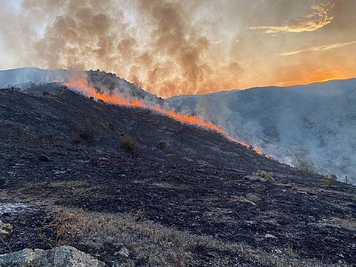 Las llamas en el monte del término municipal de Cornago.