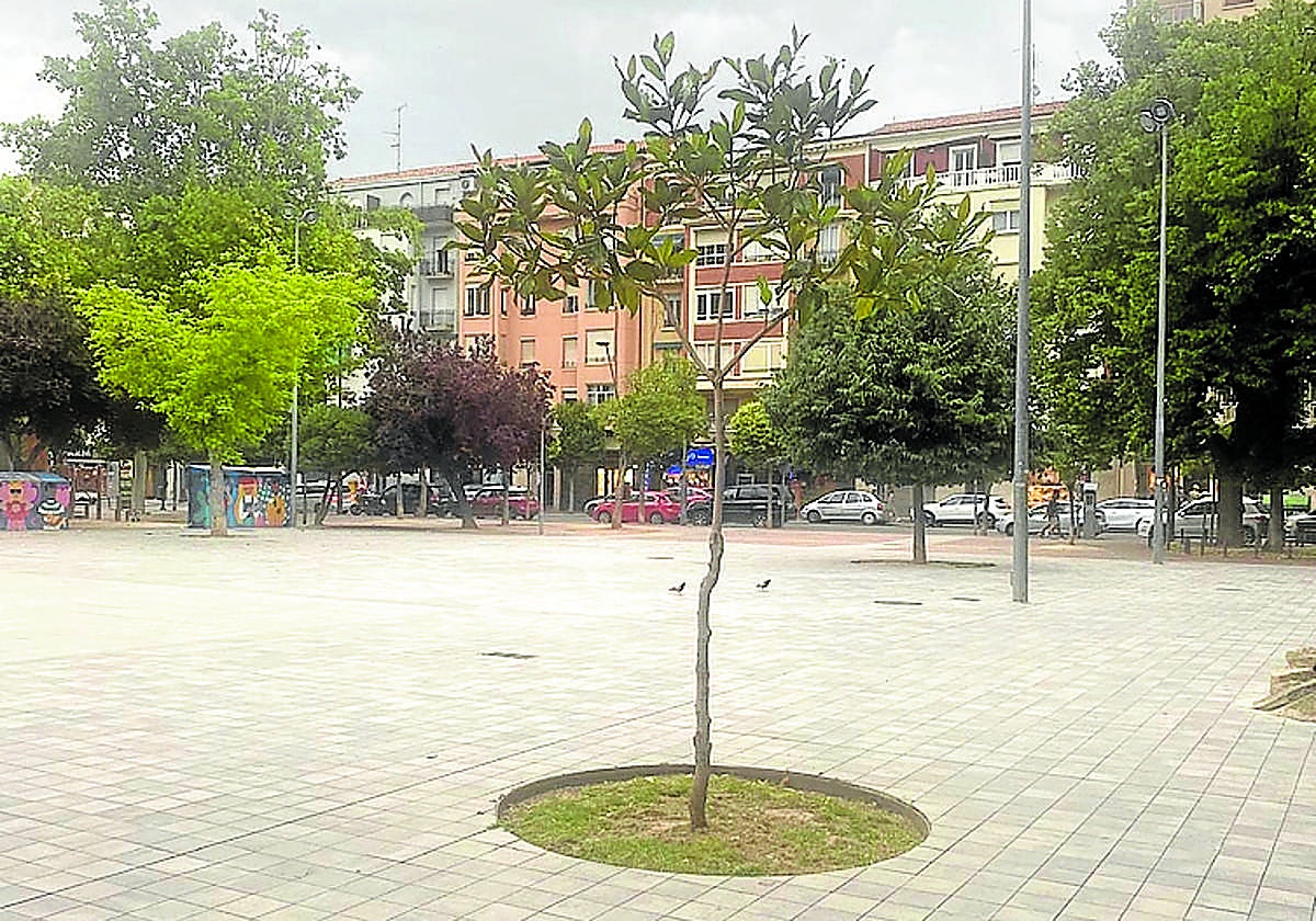 Suciedad, ladridos y caminos olvidados, hoy en el Teléfono del Lector