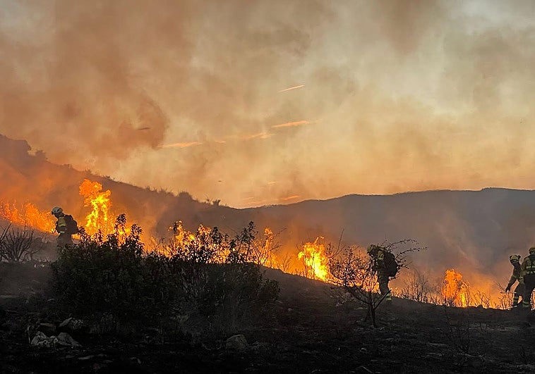 Los bomberos tratan de sofocar un incendio declarado cerca de Valdeperillo.