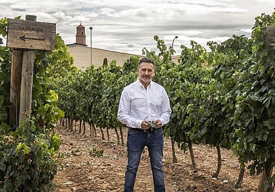 Abel Torres defiende una orden de arranque de viñedo en la DOCa Rioja