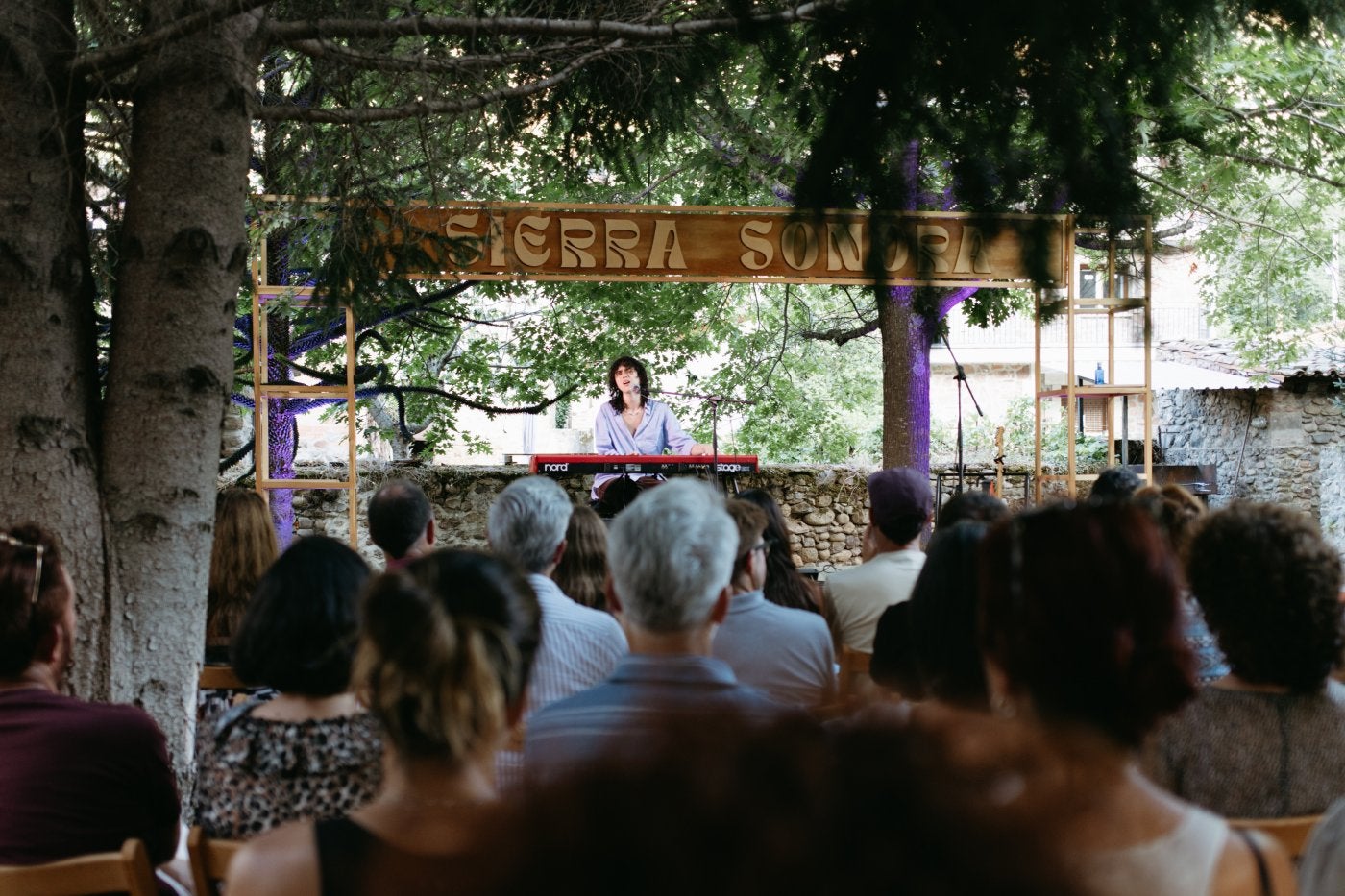 Imagen secundaria 1 - Viniegra Sonora como nunca