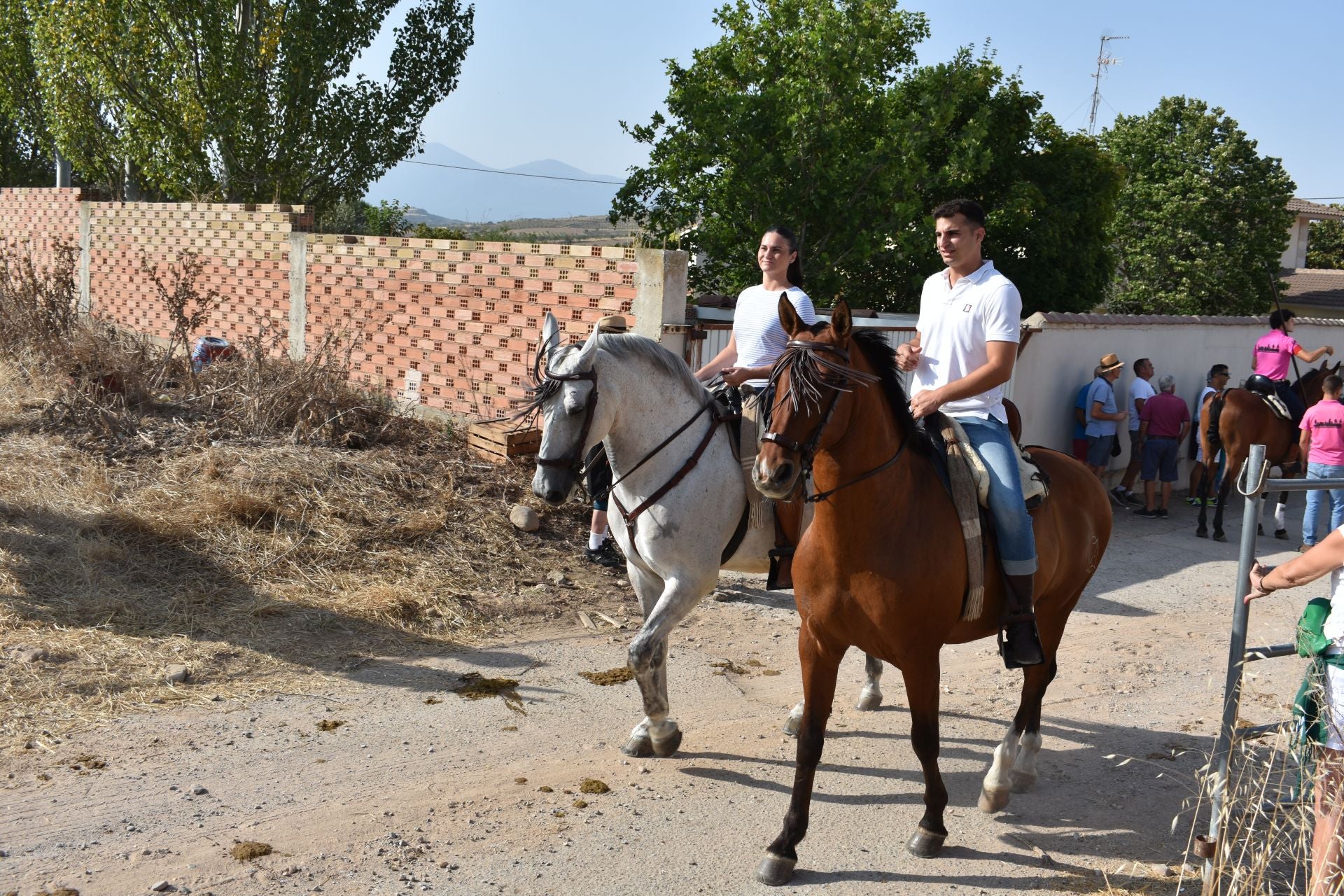 La saca de vacas de Valverde