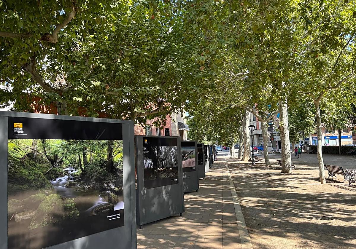 Exposición itinerante de la XVIII edición del Concurso Fotográfico Naturaleza de La Rioja en el paseo San Julián de Nájera.