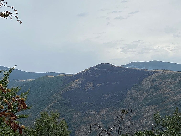 Zona de Calamantío, en mansilla, devorada por las llamas.
