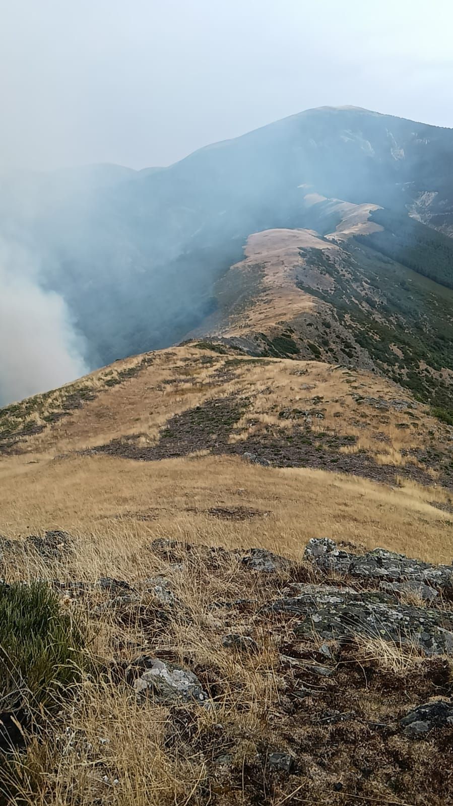 Zona afectada en Mansilla de la Sierra.