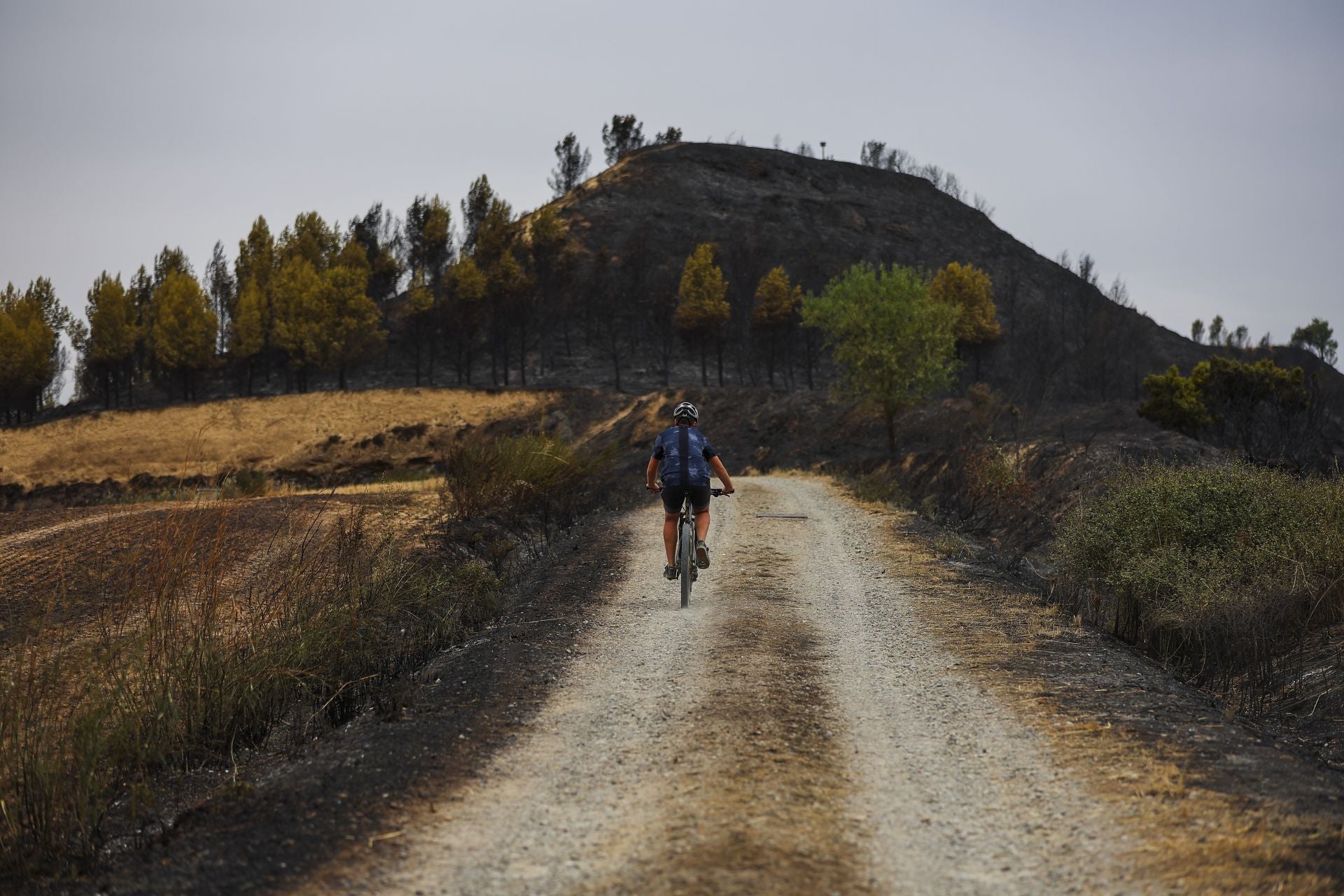 El día después del incendio en Fonzaleche y Gimileo