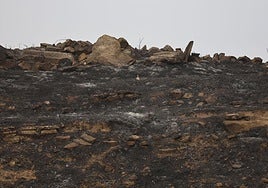 El día después del incendio en Fonzaleche y Gimileo