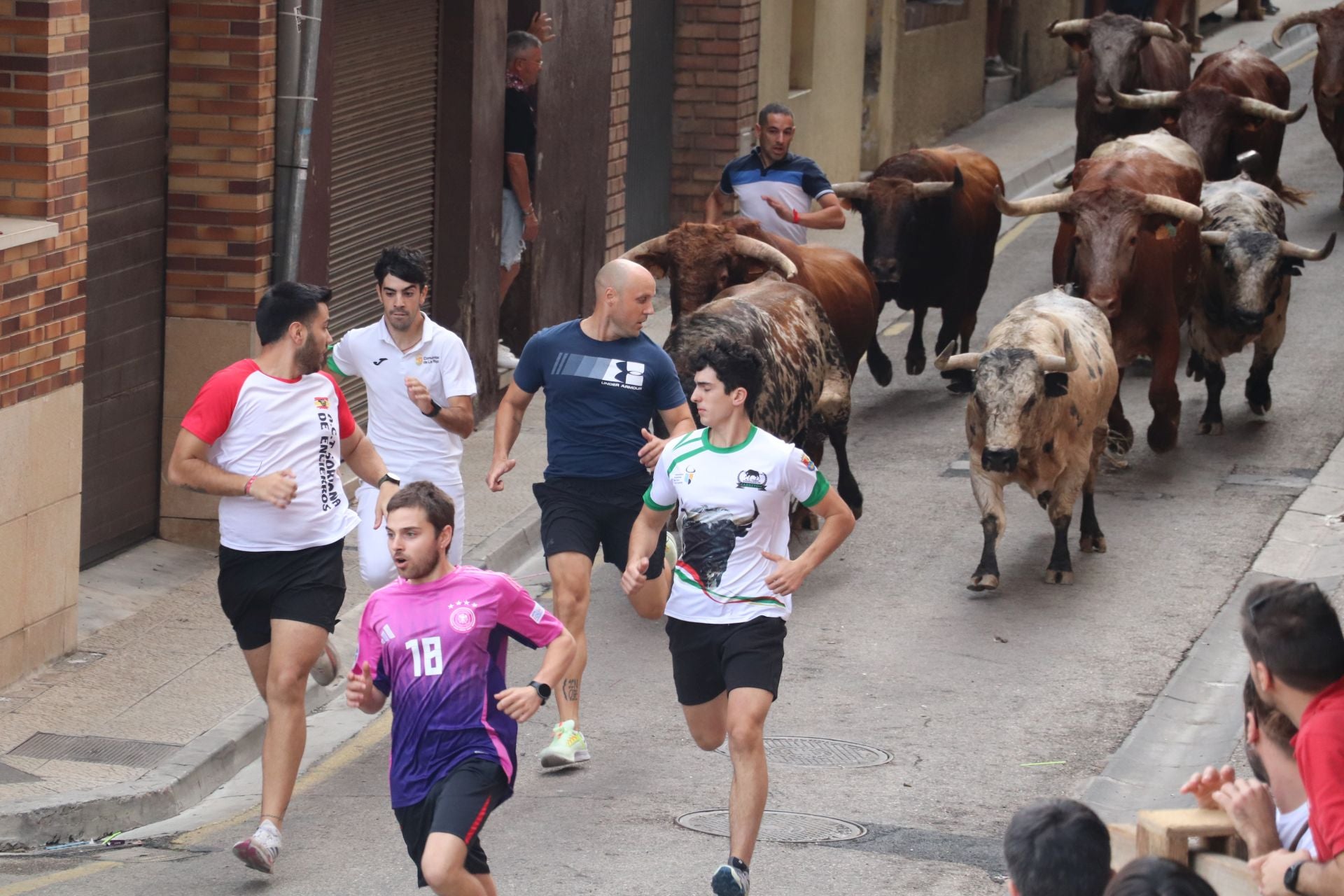 Día grande de las fiestas de Alfaro