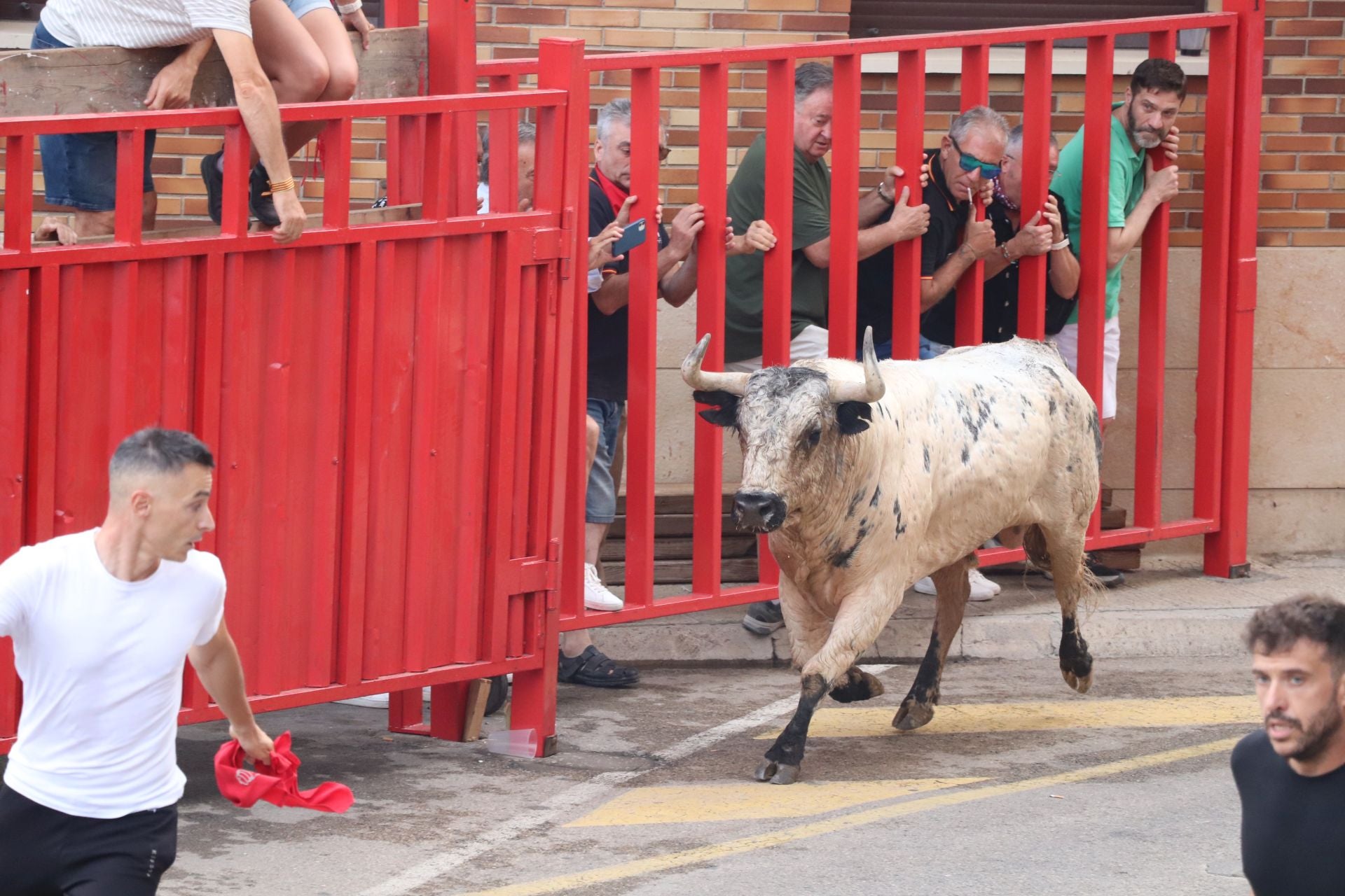 Día grande de las fiestas de Alfaro