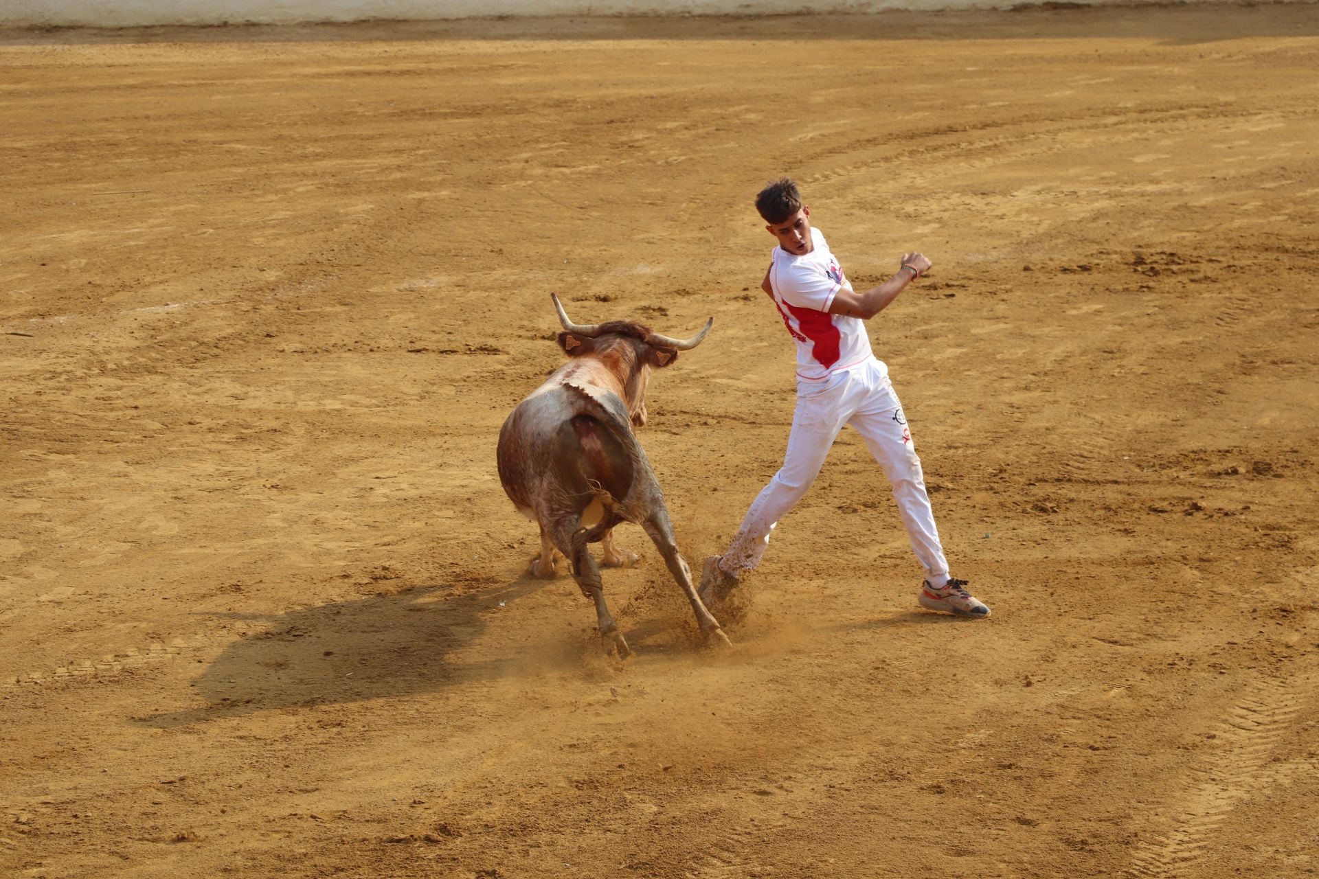 Día grande de las fiestas de Alfaro
