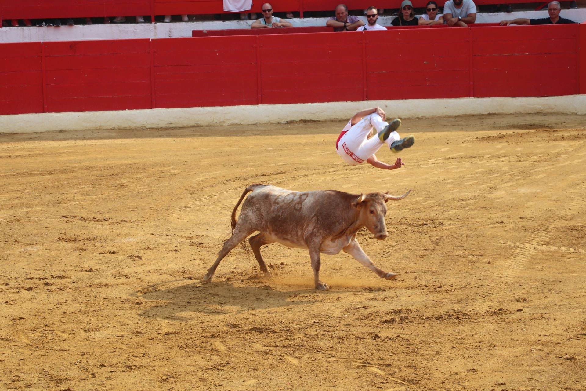 Día grande de las fiestas de Alfaro