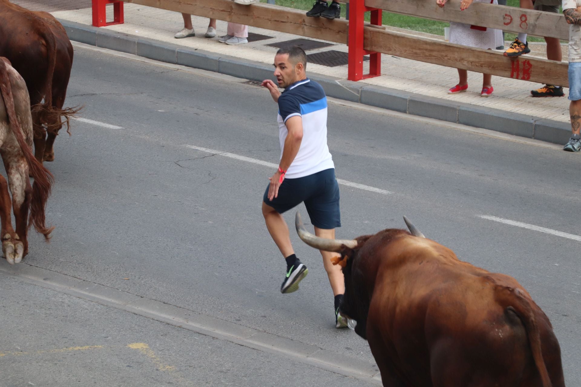 Día grande de las fiestas de Alfaro