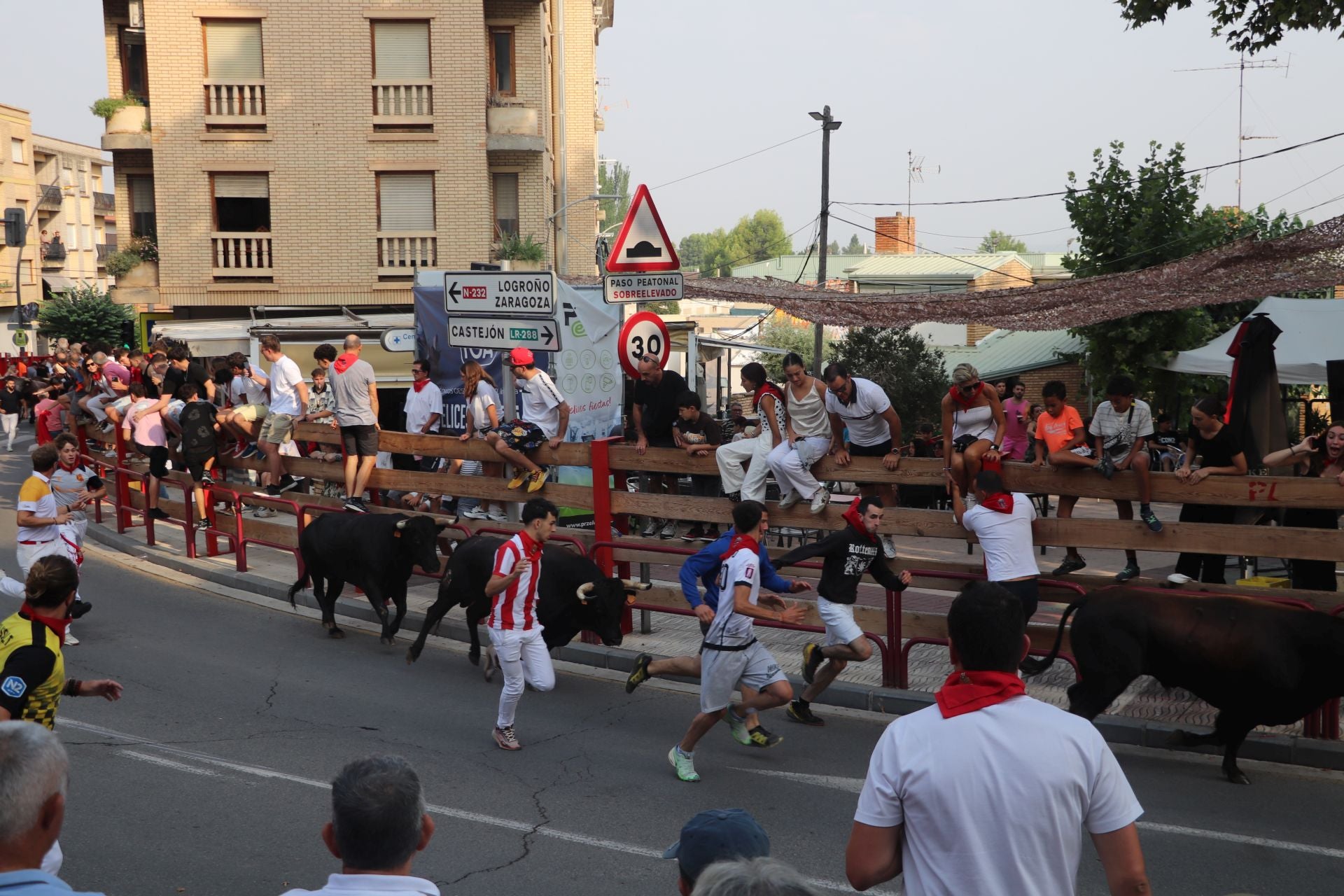 Alfaro honra a sus mayores en el domingo de fiestas