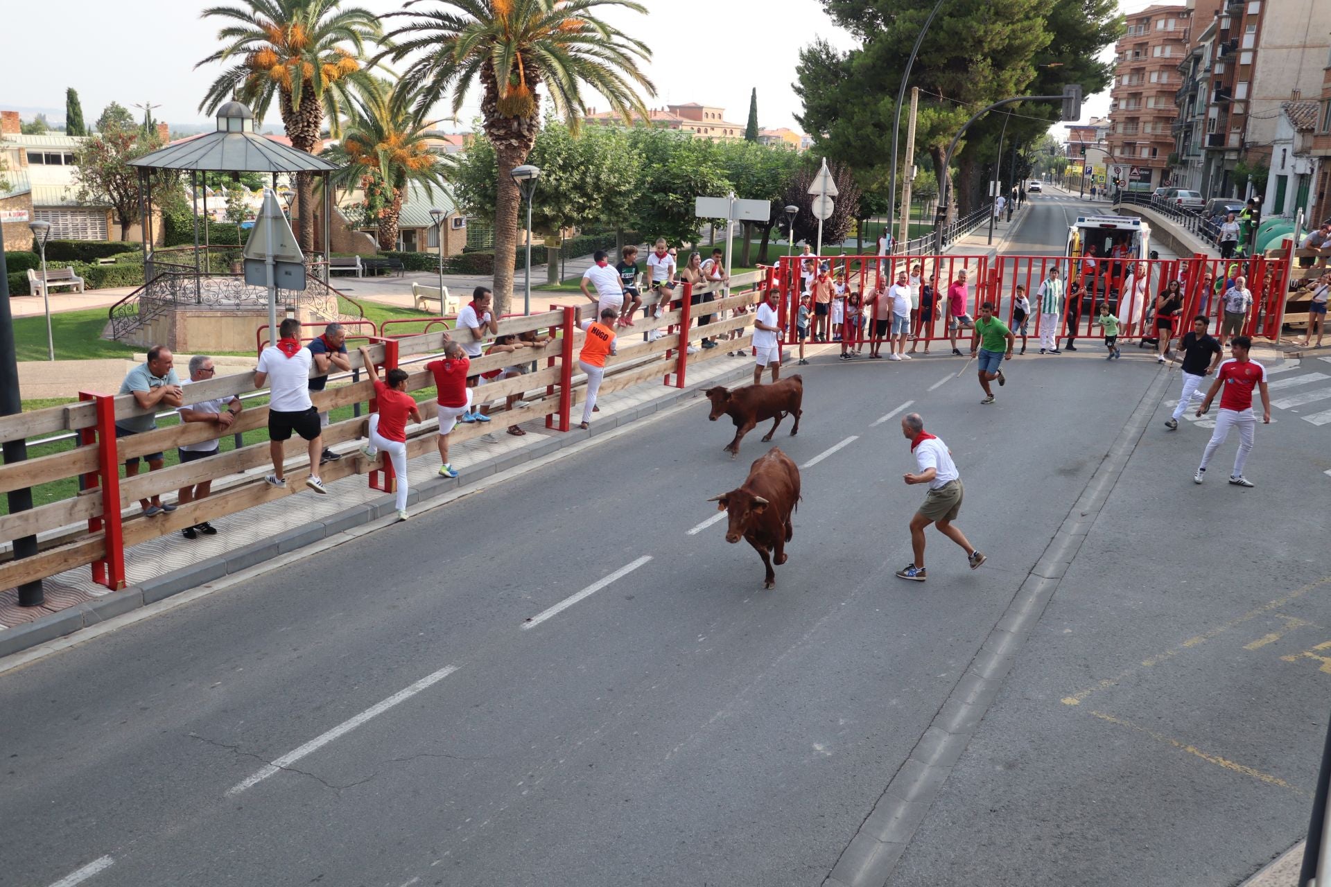 Alfaro honra a sus mayores en el domingo de fiestas