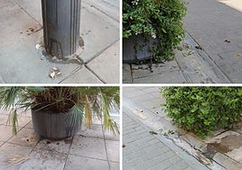 Las suciedad en la calle Pilar Salarrullana, hoy en La Guindilla.