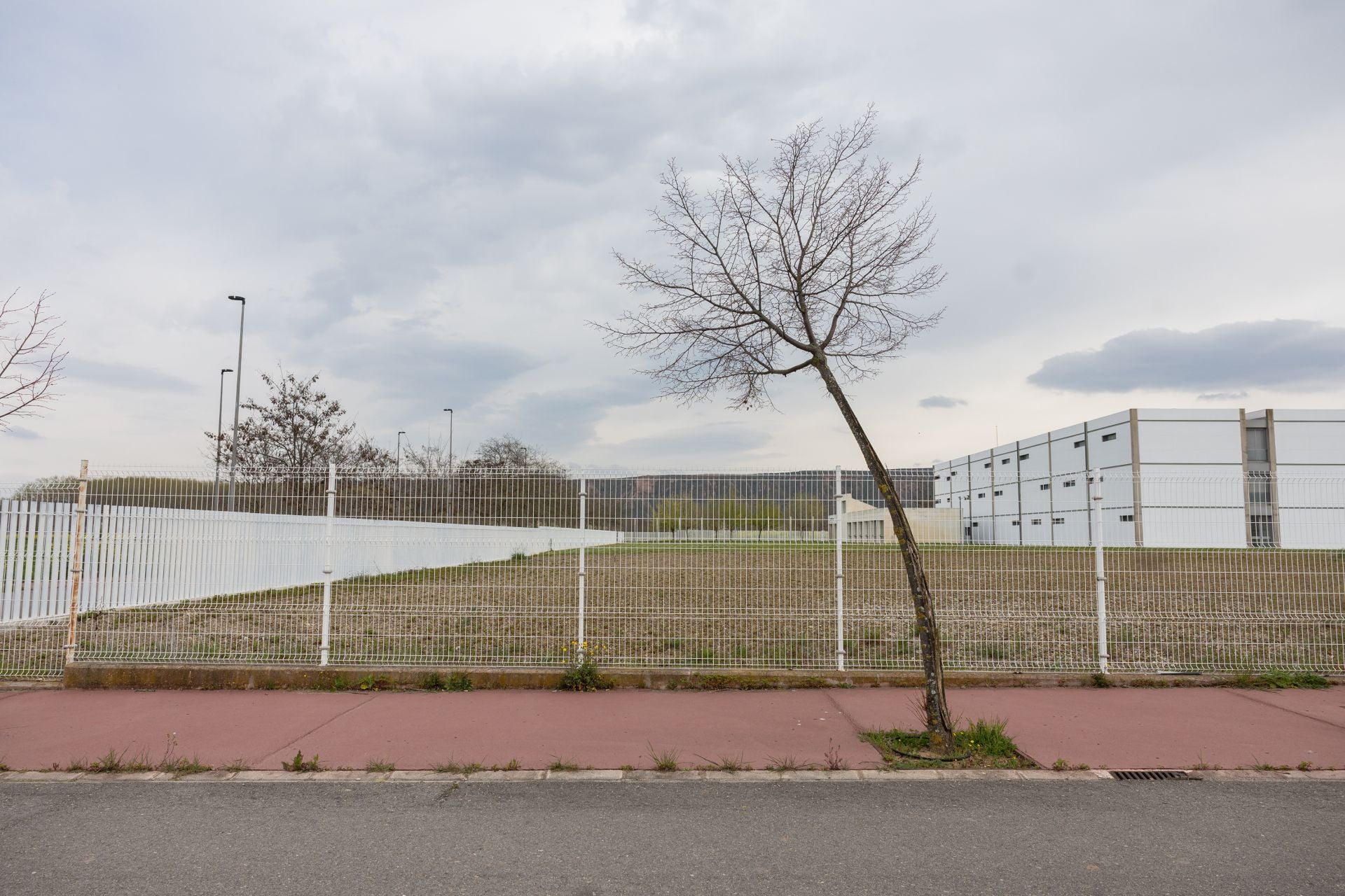 El proyecto riojano de inteligencia artificial en español se ralentiza durante la licitación