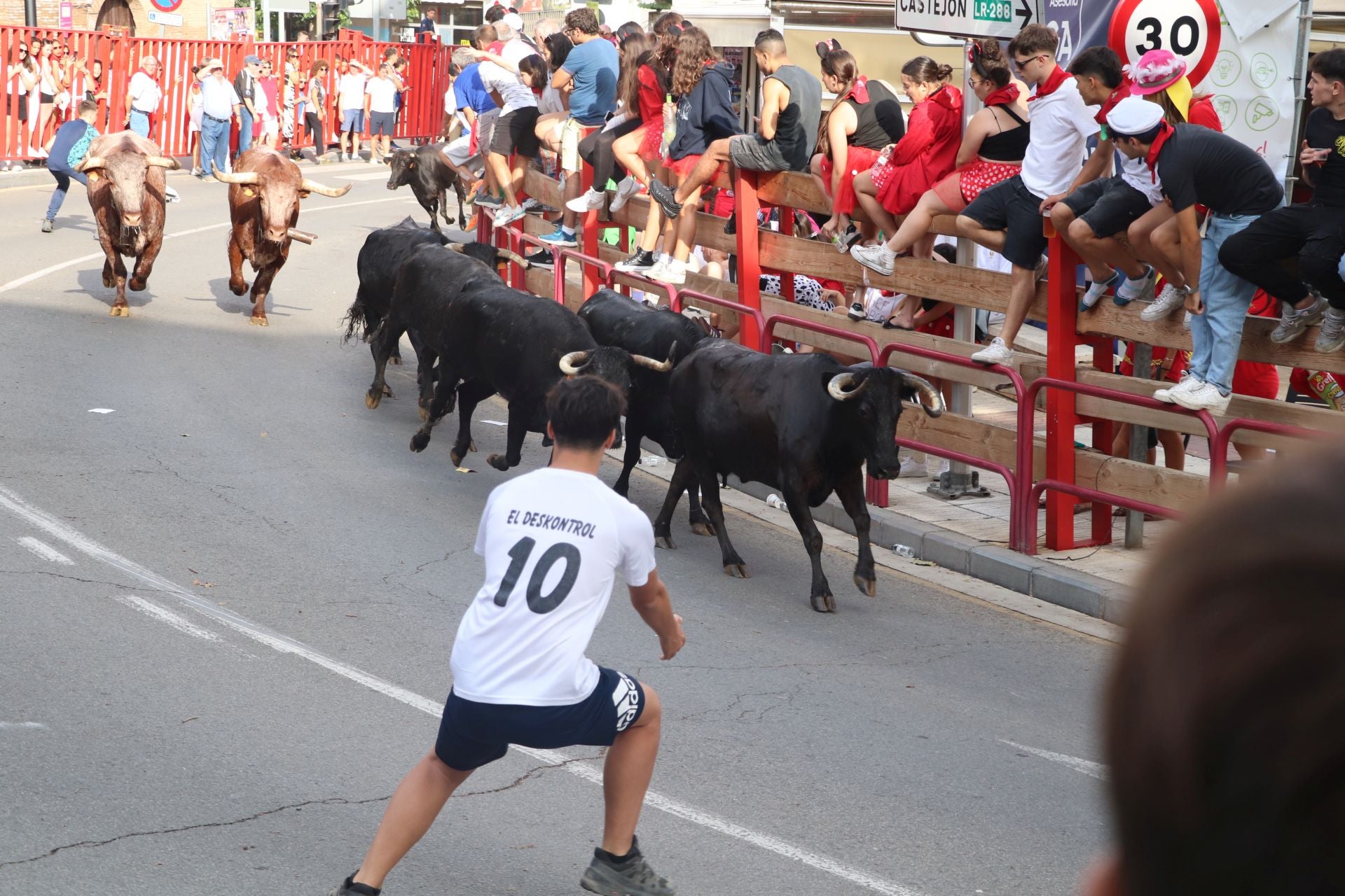 Un lunes de fiesta en Alfaro