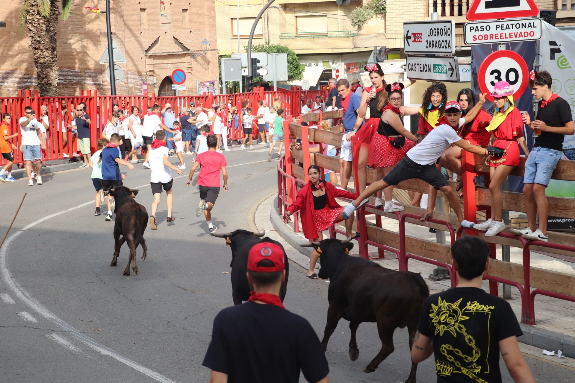 Un lunes de fiesta en Alfaro
