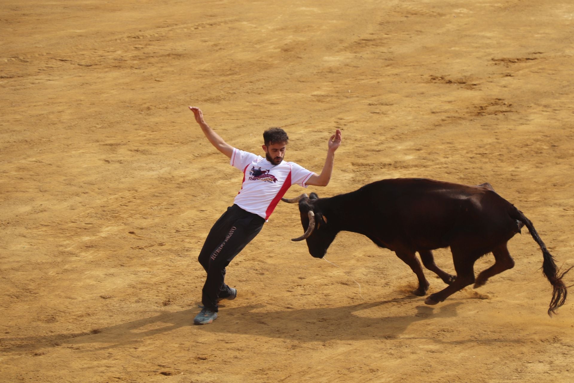 Un lunes de fiesta en Alfaro