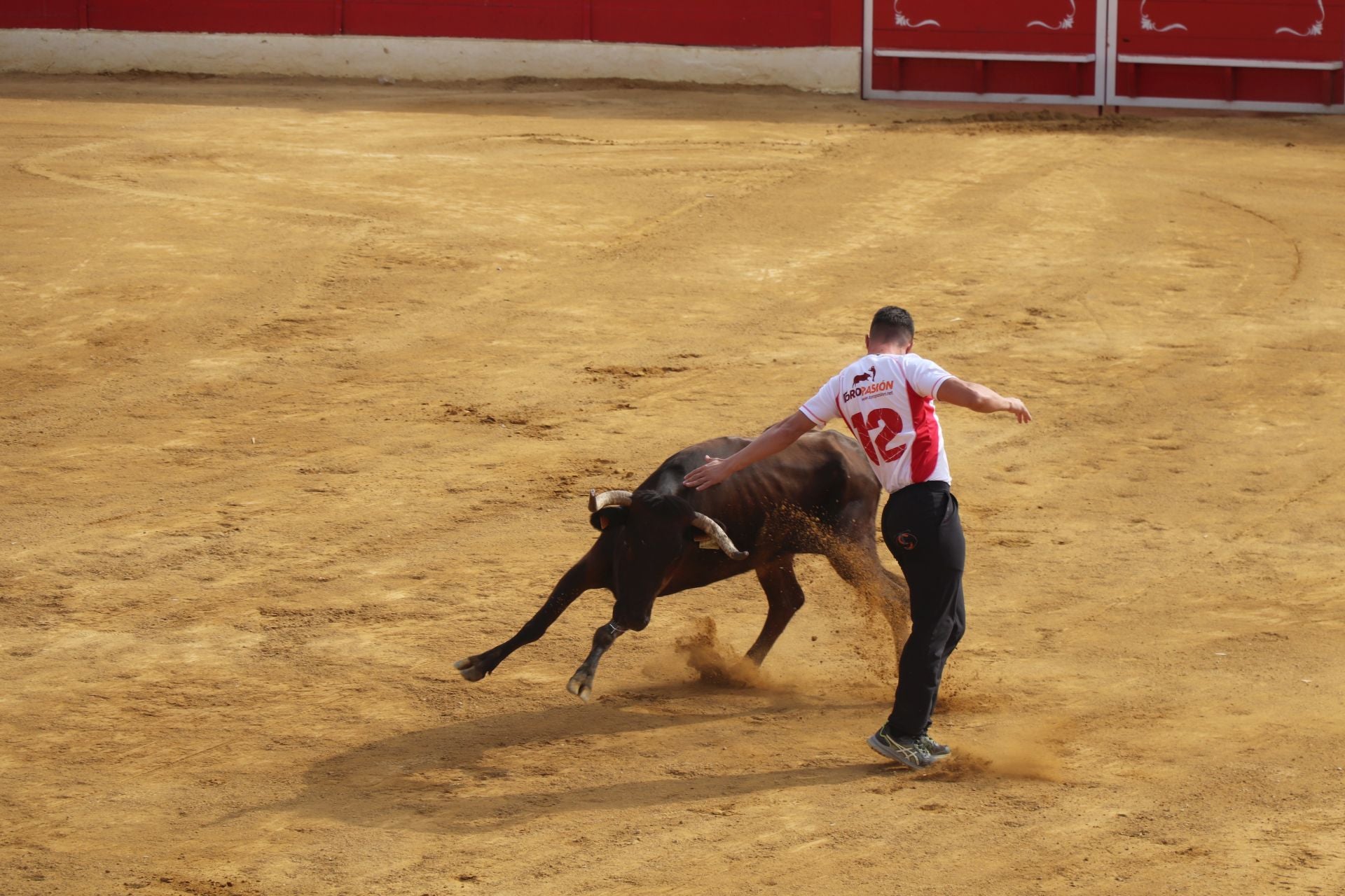 Un lunes de fiesta en Alfaro