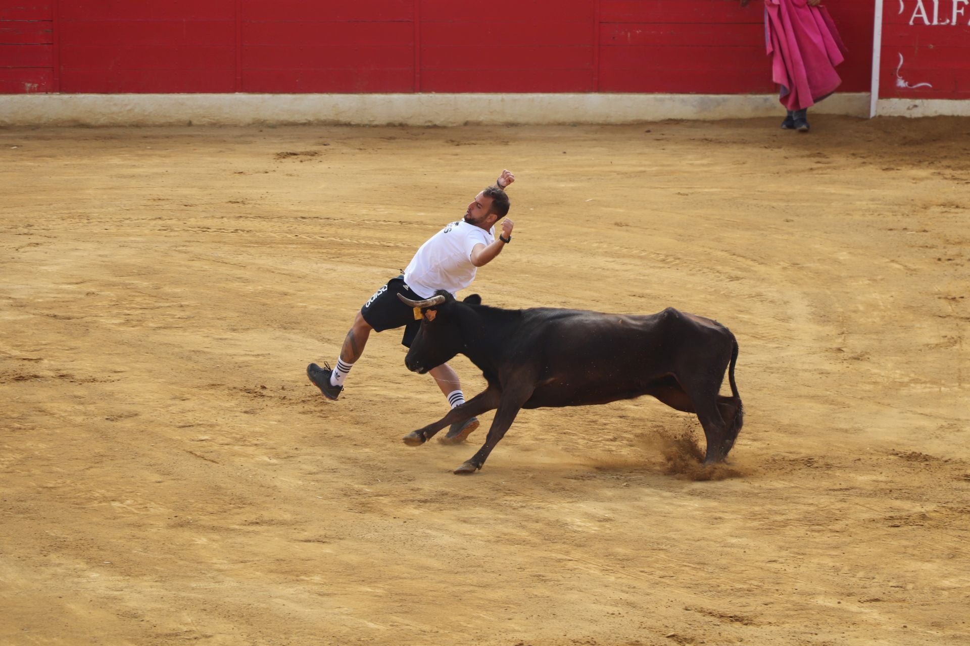 Un lunes de fiesta en Alfaro