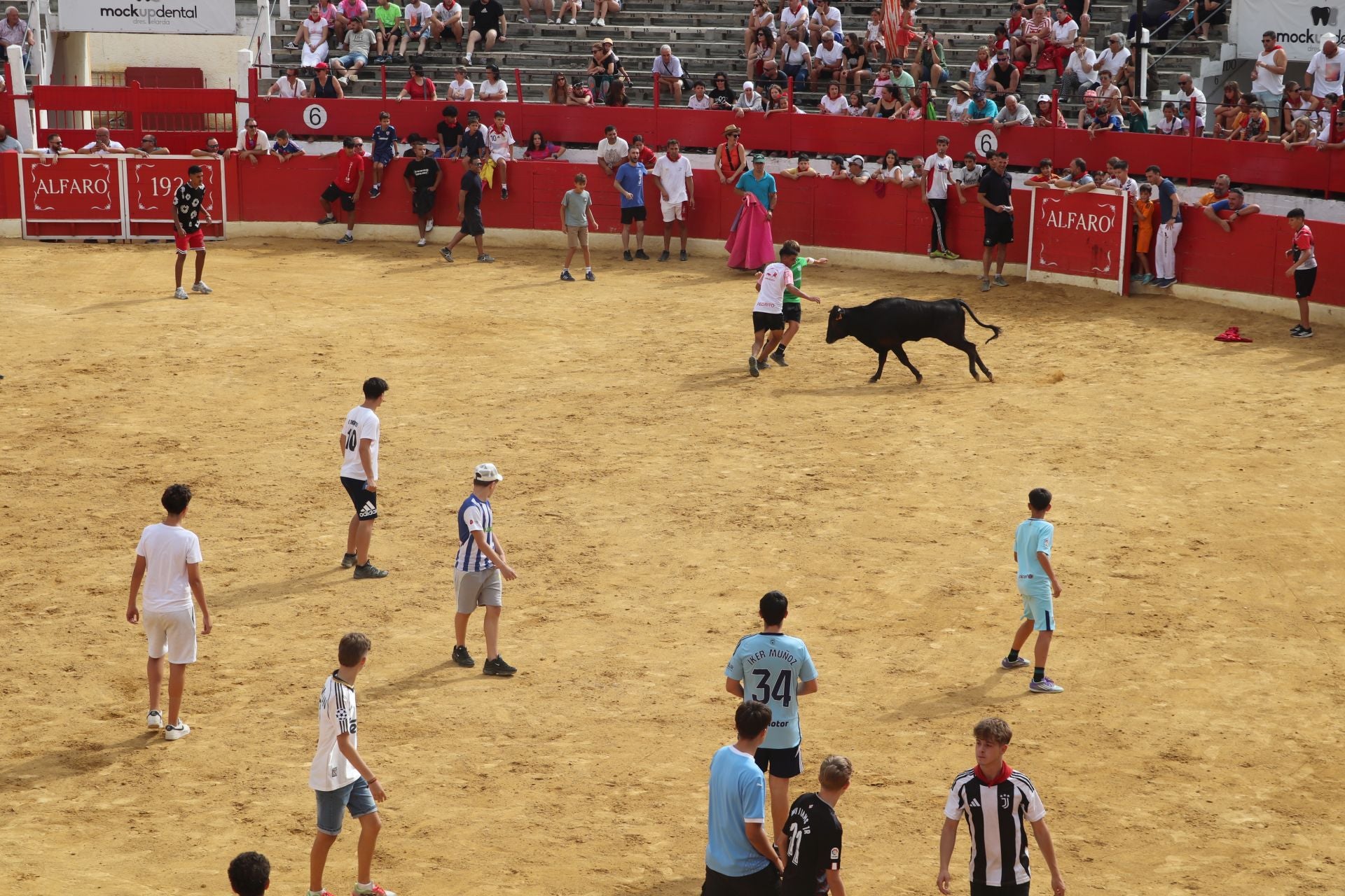 Un lunes de fiesta en Alfaro