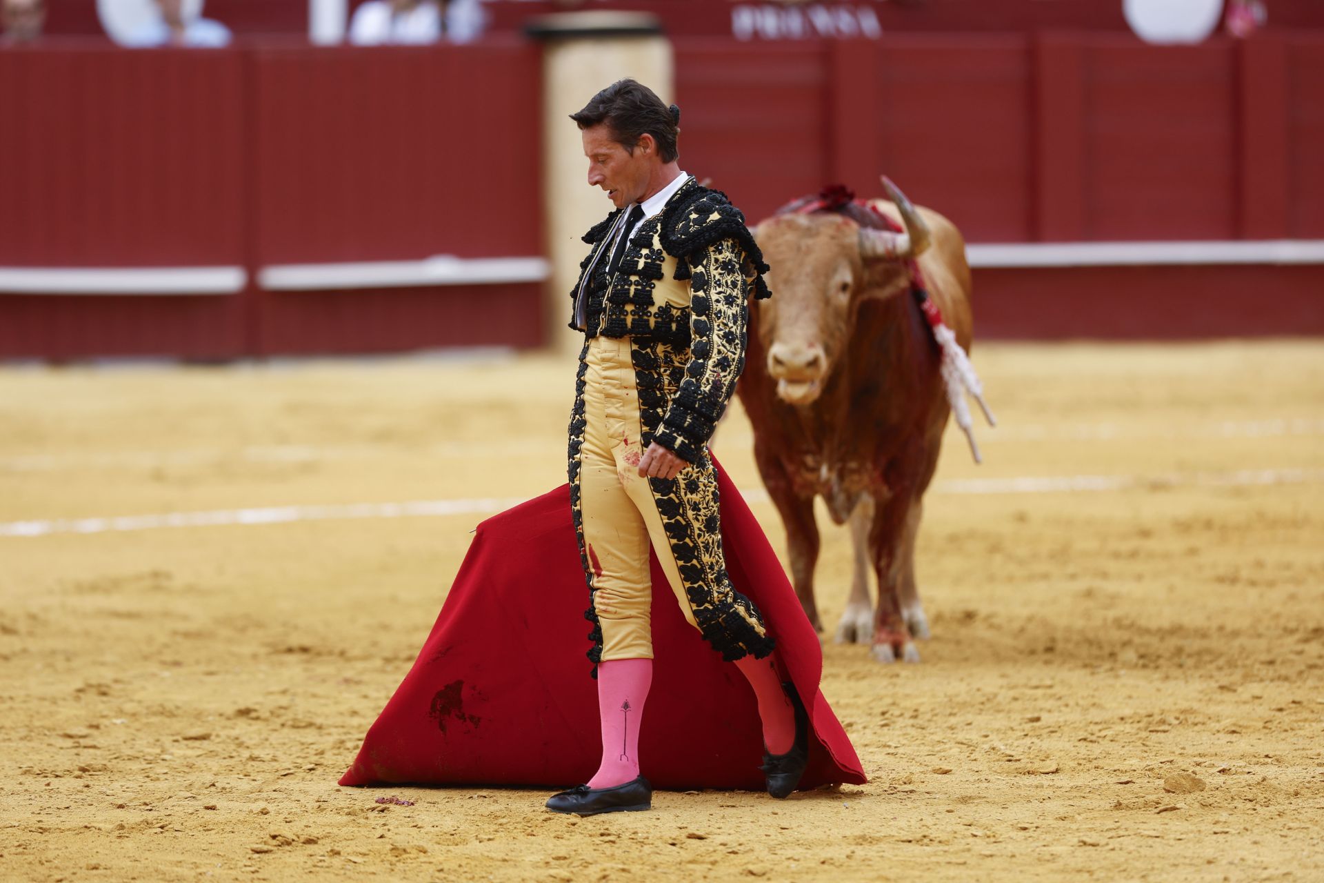 Diego Urdiales, ayer en La Malagueta.