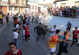 El vespertino de ayer fue el encierro que más corredores congregó de todas las fiestas alfareñas al no competir con ninguna carrera de otra localidad próxima.