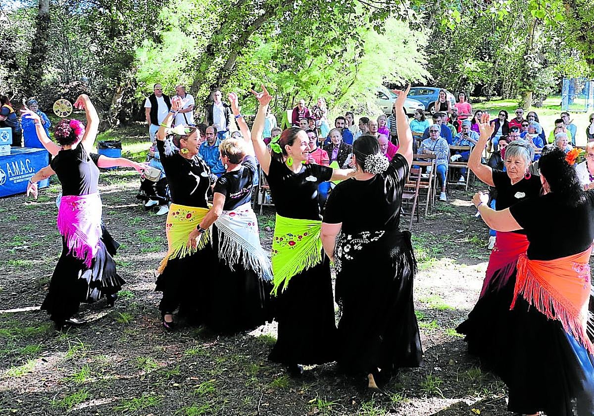 Imagen de la exhibición de Tacones y Puntas en la pasada Marcha a Vico, escuela de todas las edades que actuará el domingo en la plaza.