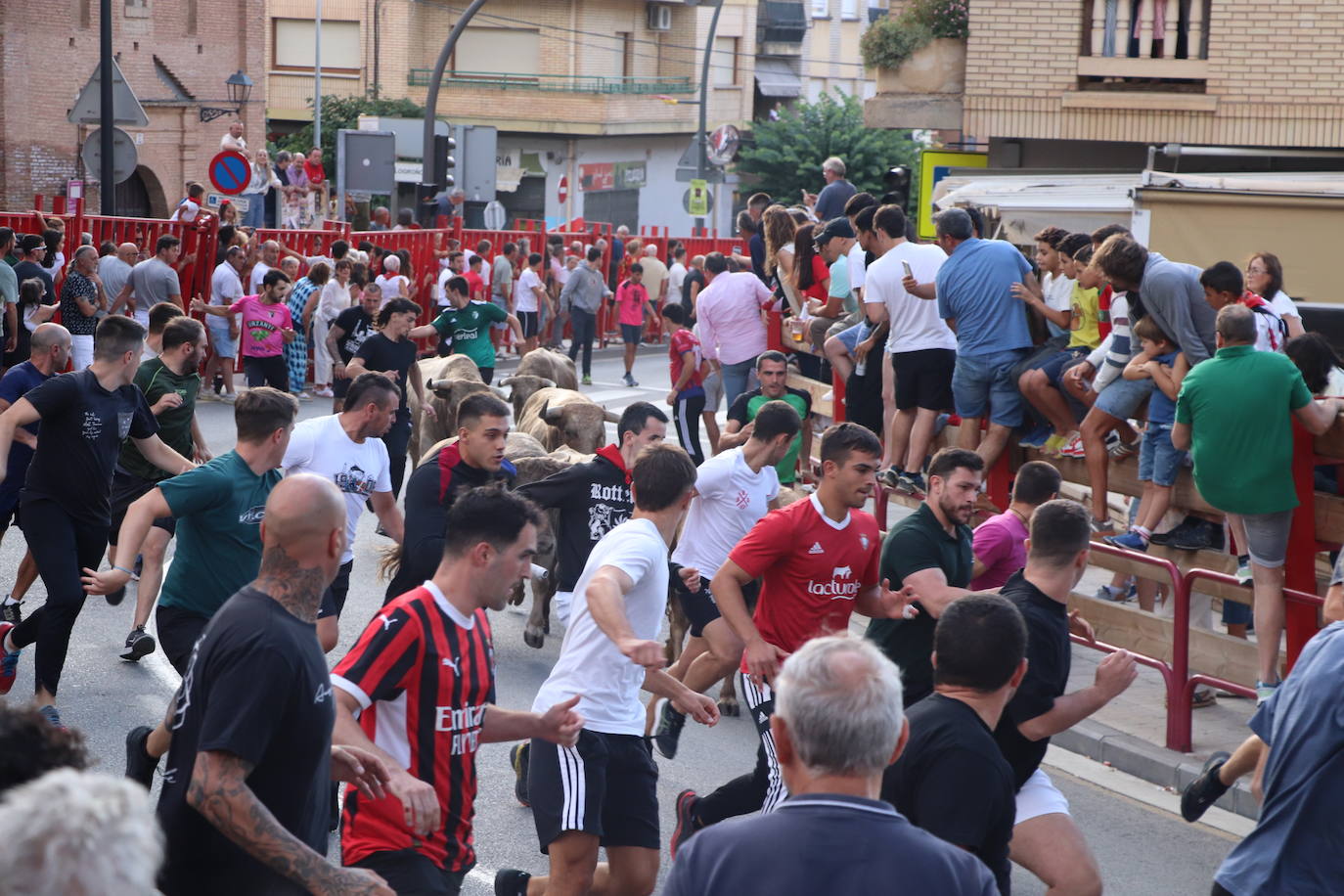 Las imágenes del último día de fiestas en Alfaro
