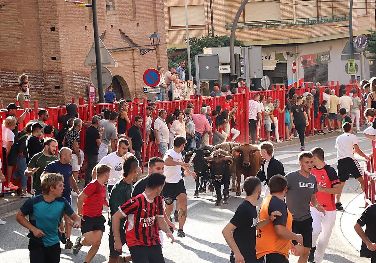 Las imágenes del último día de fiestas en Alfaro