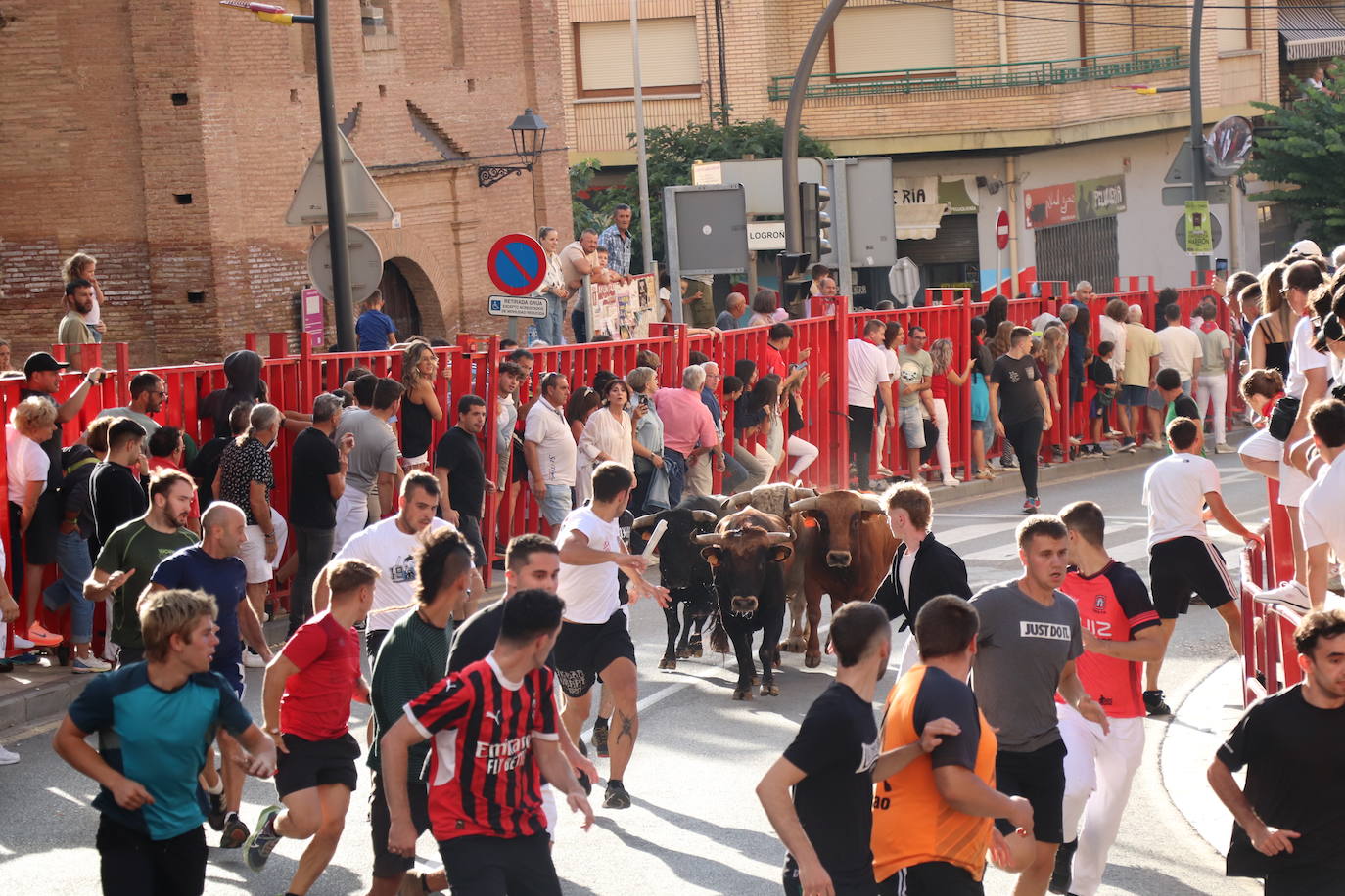 Las imágenes del último día de fiestas en Alfaro