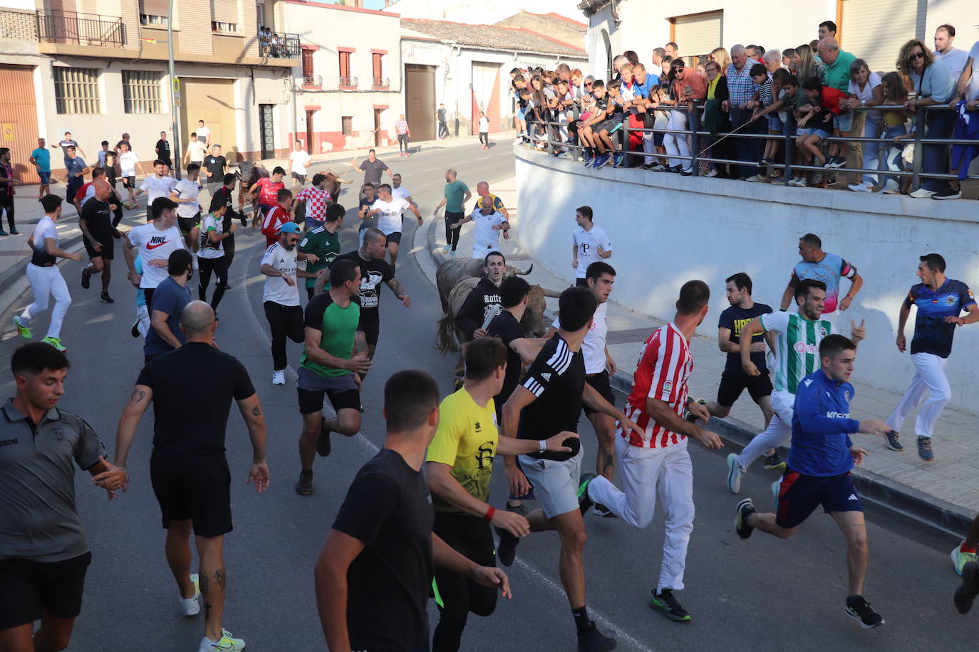 Las imágenes del último día de fiestas en Alfaro