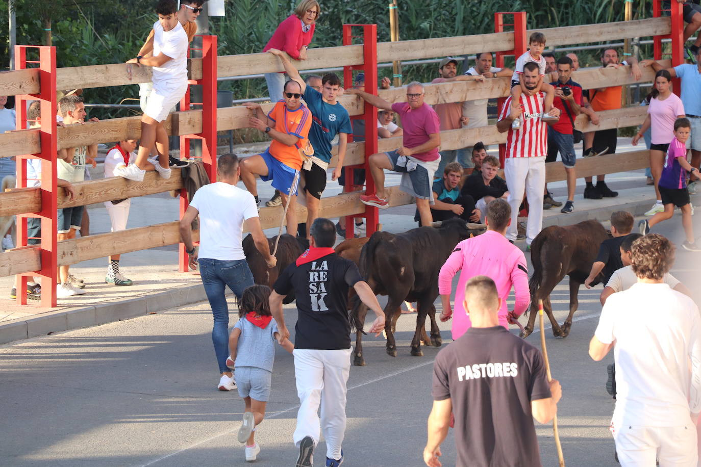 Las imágenes del último día de fiestas en Alfaro