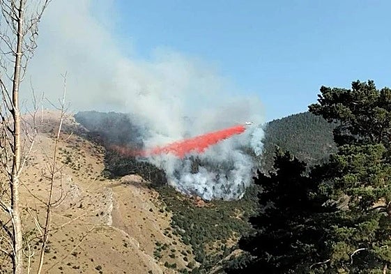 Un incendio en un monte en el entorno de Canales de la Sierra.