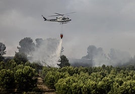 El helicóptero vierte el agua sobre la zona forestal afectada por el incendio del Ecoparque.