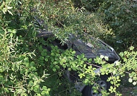 Estado en el que quedó el vehículo de la joven de 17 años que muriótras caer el coche a un barranco.