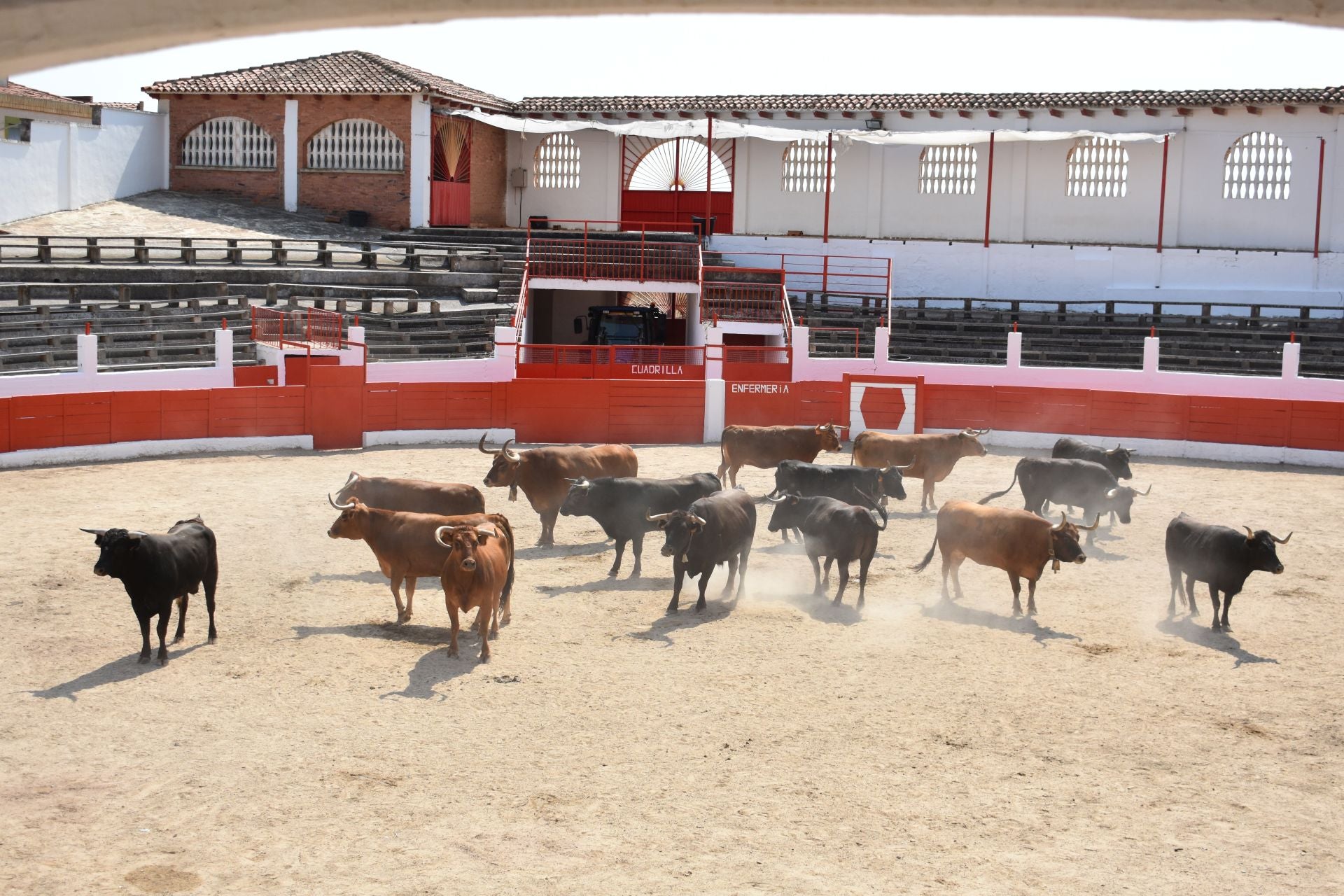 Las imágenes del día de San Bartolomé en Aldeanueva
