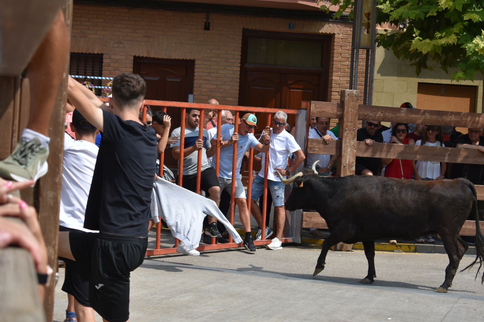 Las imágenes del día de San Bartolomé en Aldeanueva