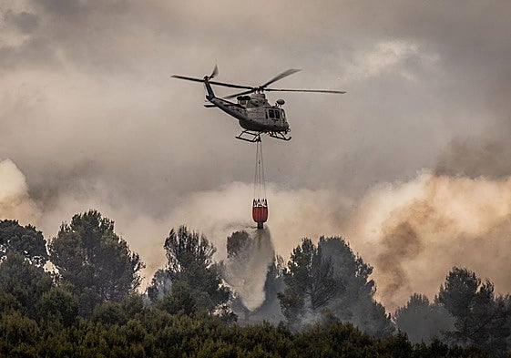 Incendio en el Ecoparque, el pasado 20 de agosto.