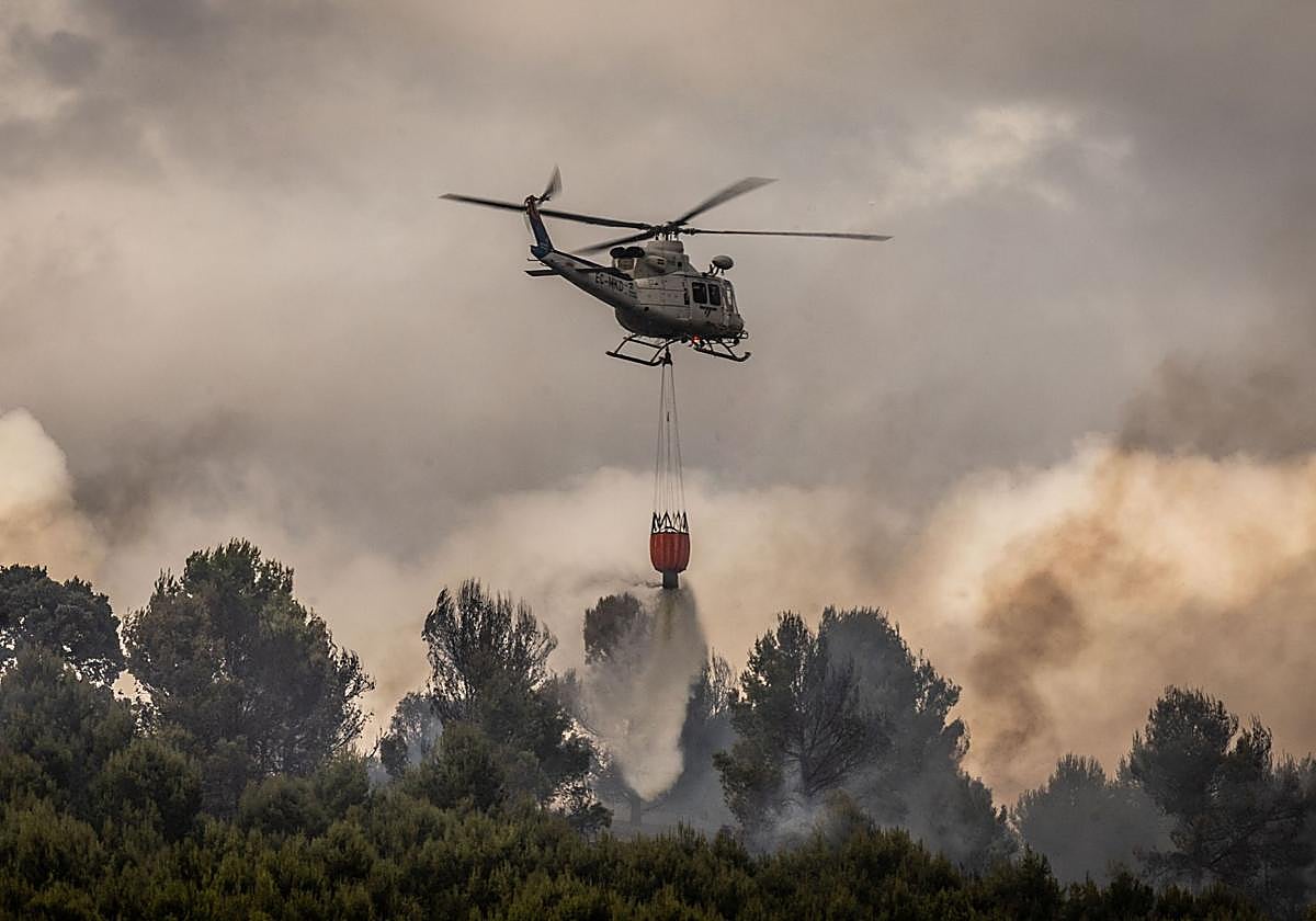Incendio en el Ecoparque, el pasado 20 de agosto.