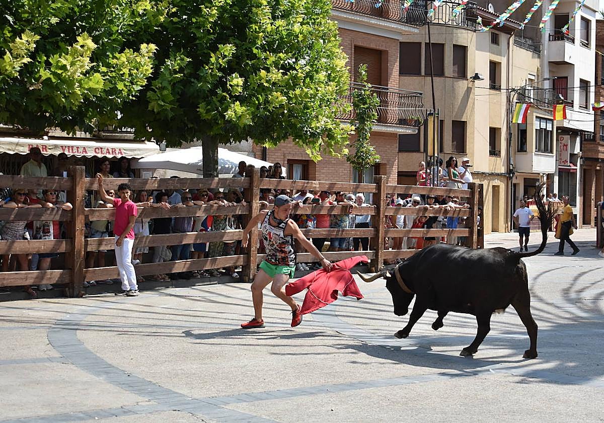 Las fiestas de Aldeanueva de Ebro, dedicadas hoy al Club Taurino, ofrecen vacas, magia, novillada y música